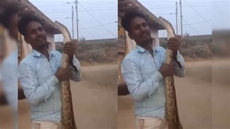 Python Attack 的图像结果