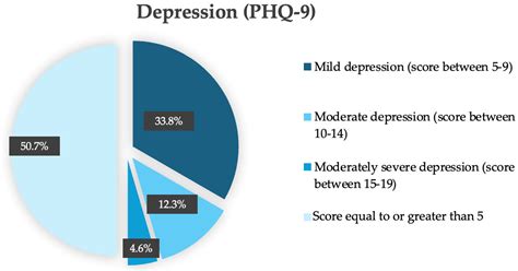 Mental Health and Digital Practices of Family Caregivers in France ...