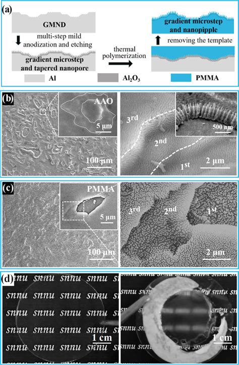 Image result for Polymer Steps