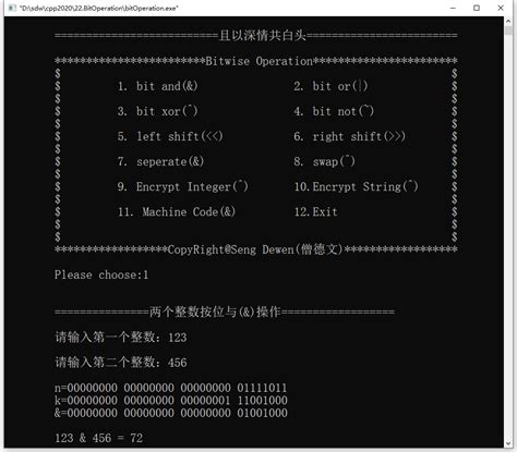 How to Do Bit Compression in C 的图像结果