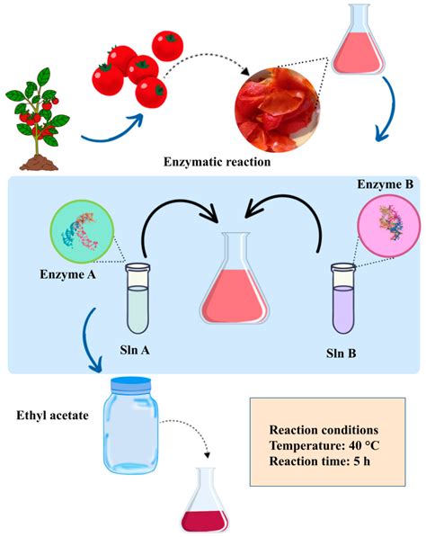 Potential Use of Tomato Peel, a Rich Source of Lycopene, for Cancer Treatment
