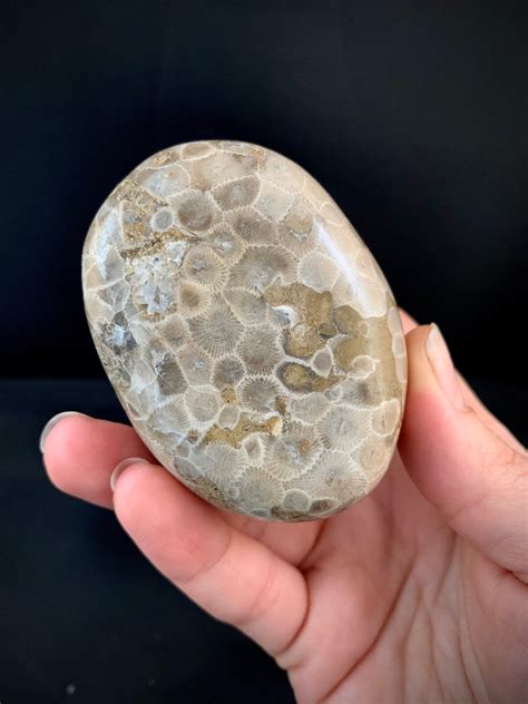 Beautifully Hand Polished Petoskey Stone