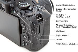 Image result for Nikon D5600 Tutorial Guide