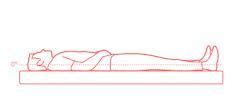 supine position diagram, - Brainly.in