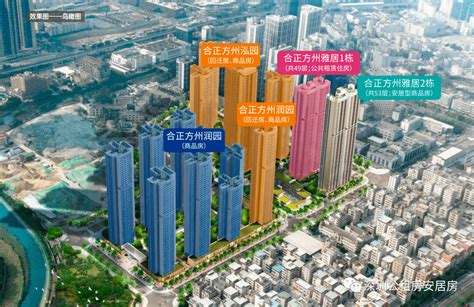 深圳新批次安居型商品房开启配售 共计推出979套精装房源 - 安居房 - 新房网