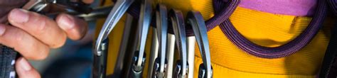 Альпинистские карабины PETZL - Купить в интернет-магазине официального ...