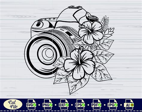 SVG Camera Pretty 的图像结果