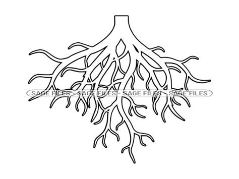 Tree Roots Drawing Png