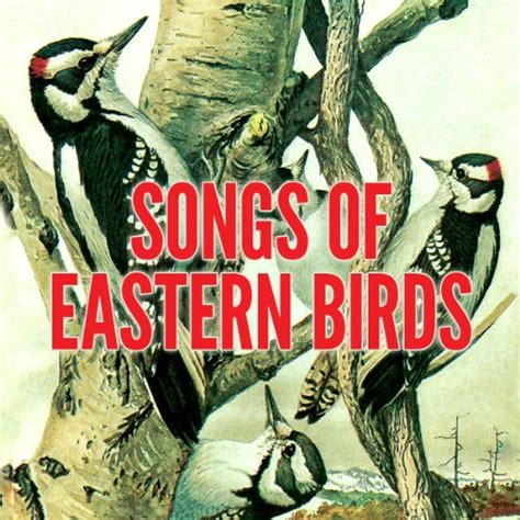 Songs of Eastern Birds (Audio Download): Donald J. Borror, uncredited ...