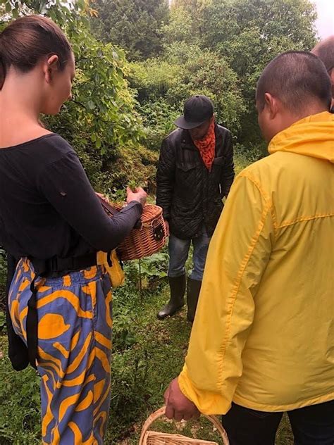 Foraging - An Introduction to our World - WORKSHOP - Forage Walk ...