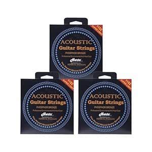 Hertz HZA80 SL Acoustic Guitar Strings - 3Pack : Amazon.in: Musical ...