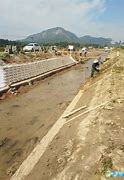 Image result for 堤岸 levee