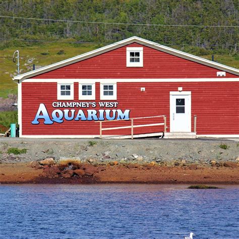 CHAMPNEY'S WEST AQUARIUM (2026) All You Need to Know BEFORE You Go ...