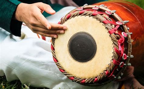 Sebastian And Sons: A Brief History Of The Mrdangam Makers eBook : T. M ...