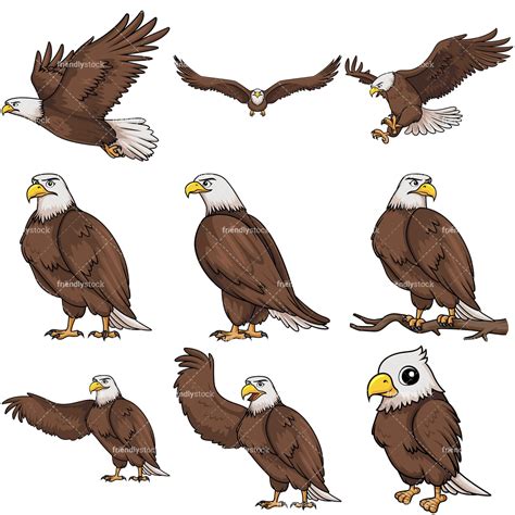 Bald Eagle Cartoon Vector Clipart - FriendlyStock