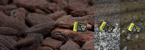 Image result for Xca2 microSD Card Pro