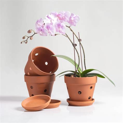 Amazon.com: HERDUK Clay Orchid Pots with Holes,Terracotta Orchid Pots ...