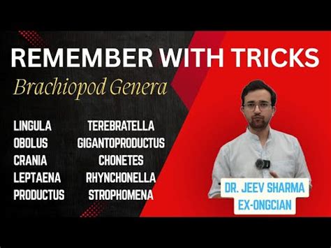 Remember Brachiopod Species names - IIT JAM; GSI; UPSC and IFoS Geology ...