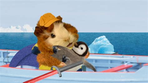 Wonder Pets Help 的图像结果