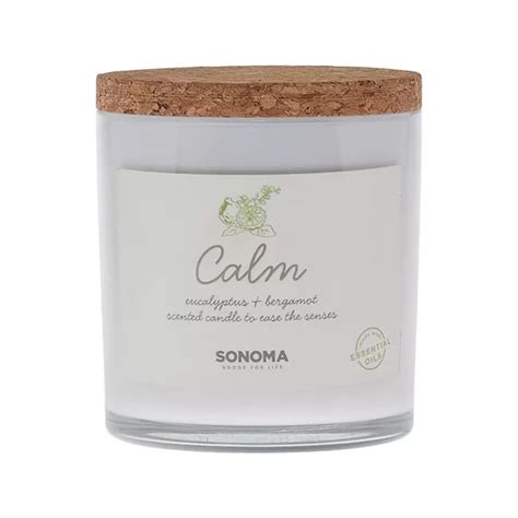Sonoma Goods For Life® Spa Calm 3-Wick Candle Jar