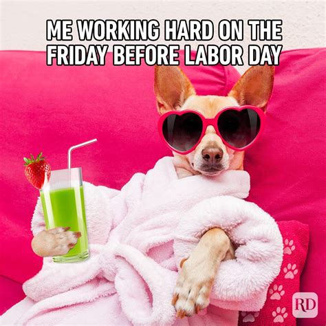 30 Labor Day Memes to Help You Celebrate the End of Summer