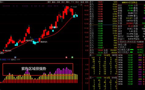 弘历趋势王指标公式，趋势选股指标公式，真正的趋势之王指标