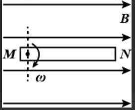 A thin metallic rod PQ of an arbitrary shape is hinged at end P and ...