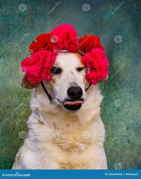 Personification Of Fear In Greek Mythology God Phobos. He Is The Son Of ...