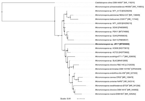 Exploration of Chemical Diversity and Antitrypanosomal Activity of Some ...