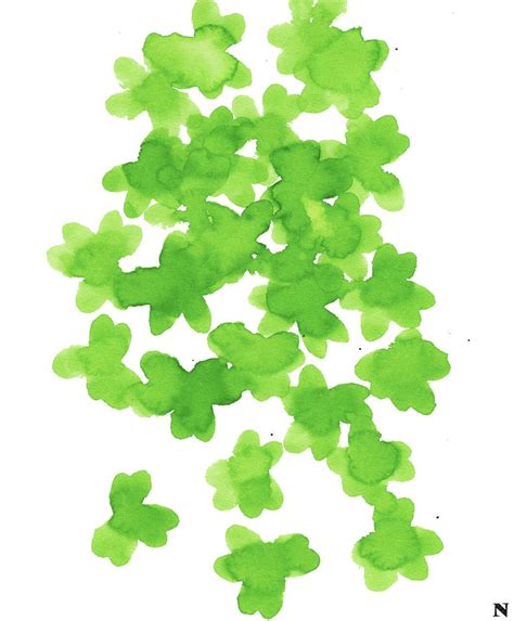 clover 5001 GL_inkjet | NRCK