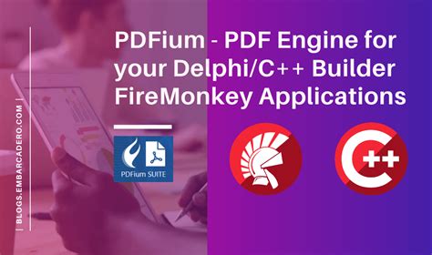 Delphi Search PDF 的图像结果