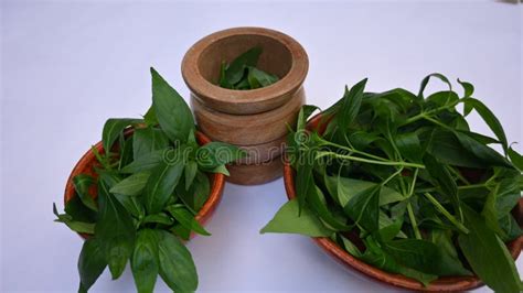 Nature Medicine 的图像结果