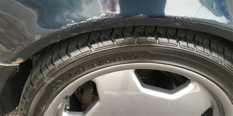 Rust Prevention Spray Review 的图像结果