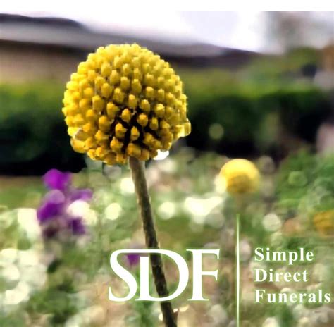 Simplifying Funeral Services: Easy Cremations & Burials