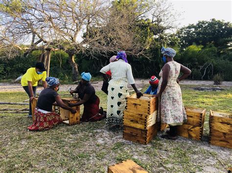 Local Products 的图像结果