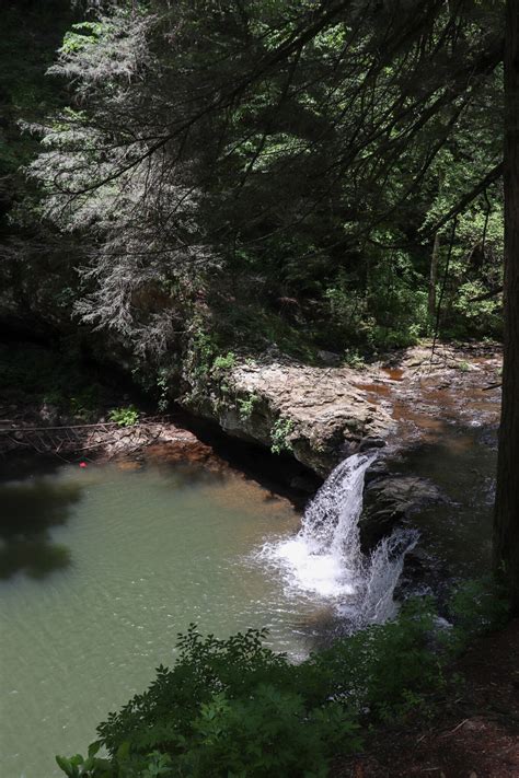 6 of the Best Chattanooga Swimming Holes - Exploring Chatt