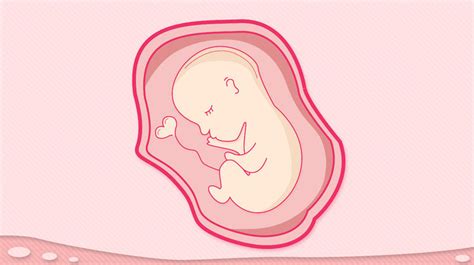 怀孕中晚期缺氧最常见，孕妇有3个表现代表胎儿不舒服|缺氧|胎儿|孕妇_新浪新闻