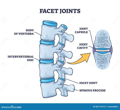 Joint : Joint Meaning – XNCUC