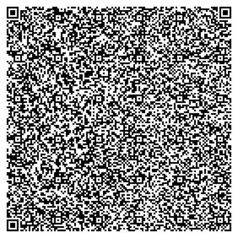 Convert Image to QR Code Python 的图像结果