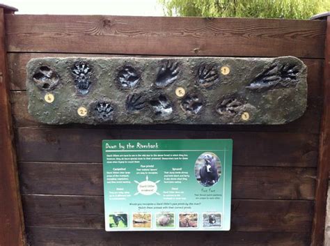 ZooLex Image - Interactive sign