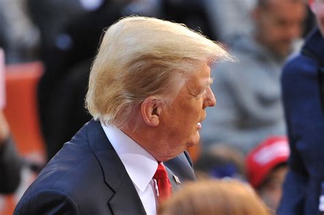 Is Donald Trump's Hair Real? | POPSUGAR Beauty