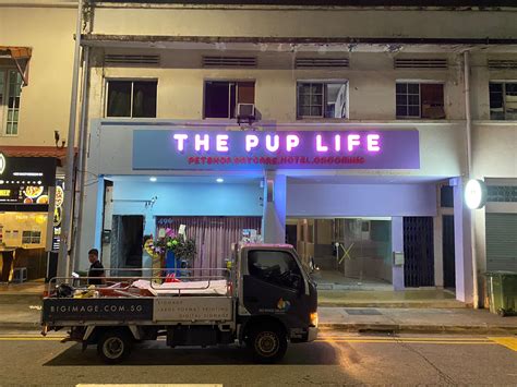 Local Signage 的图像结果