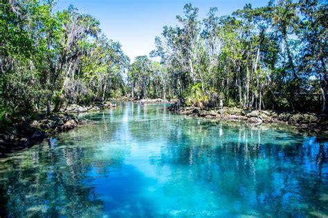 9 Great Things to Do in Crystal River (including manatees!) - Travel ...