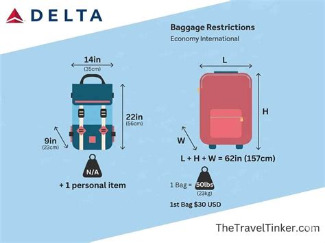 Delta Airlines 2026 Baggage Allowance: The Ultimate Guide to Avoiding ...