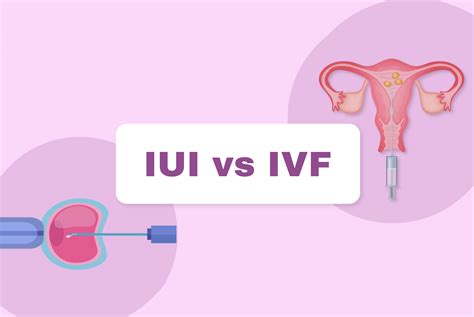 IUI vs IVF: Navigating the Paths to Parenthood | Hegde Fertility