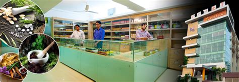 Naturopathic Medicine - Therapeutic Treatments | NATUROPATHY
