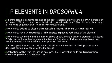Transposons in drosophila - P element | PPTX