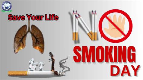 Urbanization Process 的图像结果