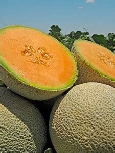 Aywal Muskmelon/Kharbuja Fruit Seed Price in India - Buy Aywal ...