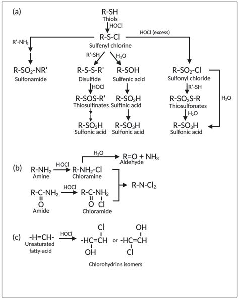Surviving Reactive Chlorine Stress: Responses of Gram-Negative Bacteria ...